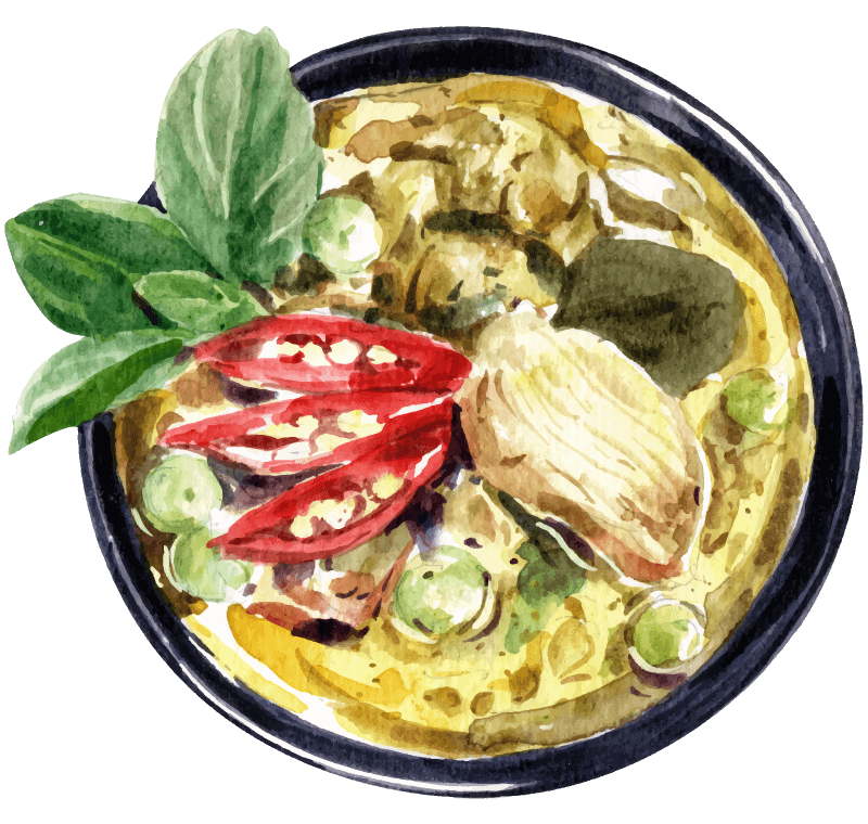 Thai-Curry-Drawing_800x800